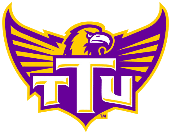 Tennessee Tech Golden Eagles 2006-Pres Alternate Logo iron on transfers for T-shirts